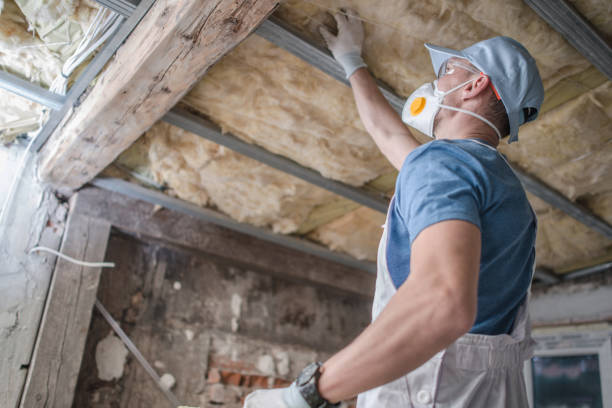 Best Insulation Installation Services in Holbrook, NY